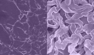 Scientists develop stable sodium battery technology
